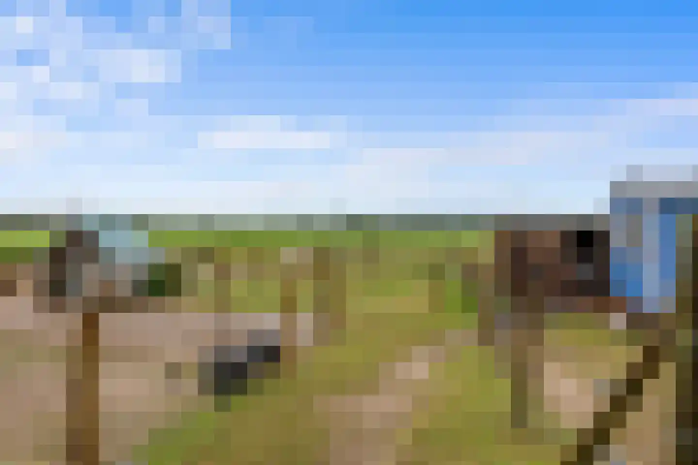 Oude Kleefsepostweg 2 Spijk thumbnail 48