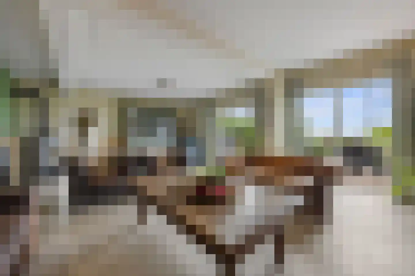 Oude Kleefsepostweg 2 Spijk thumbnail 5