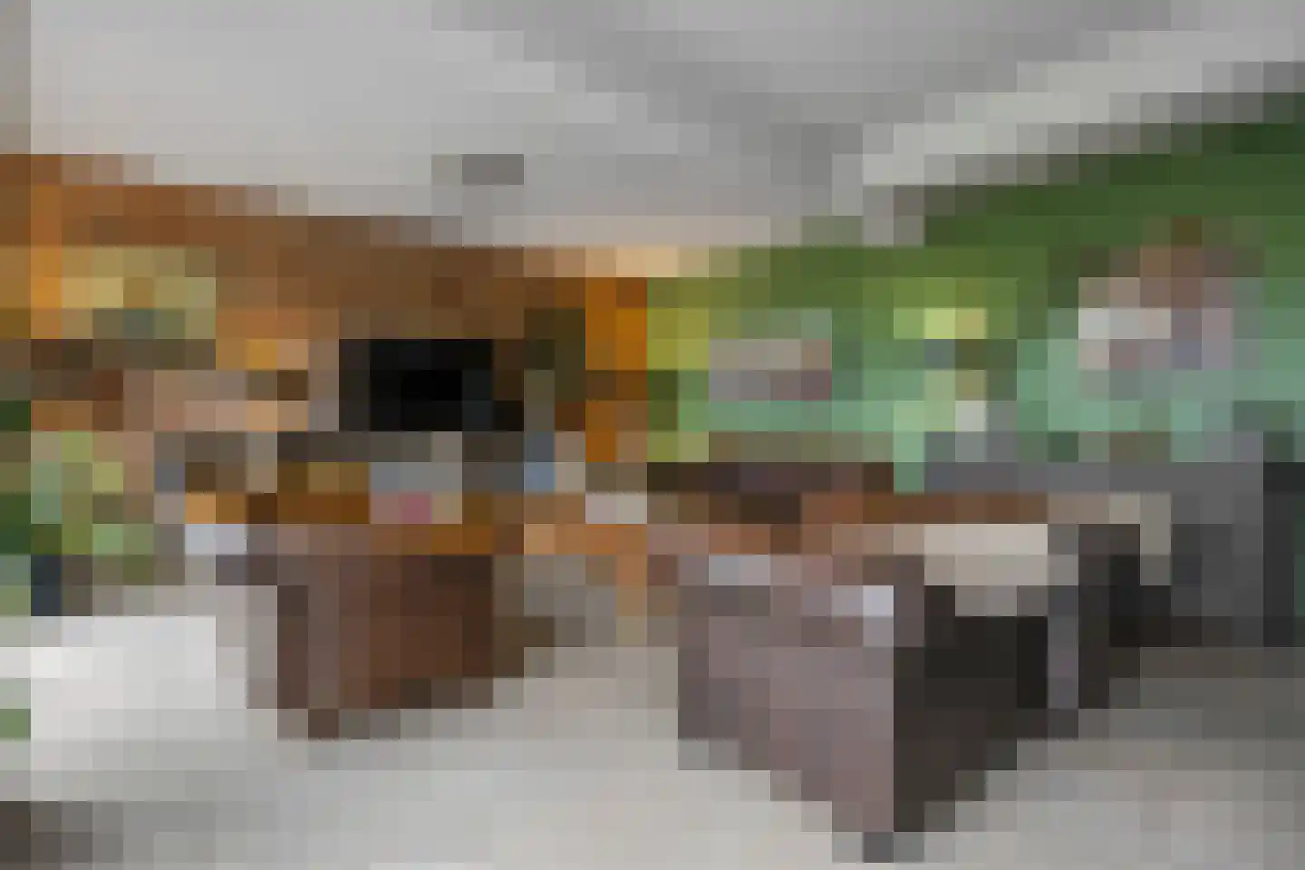 Oude Kleefsepostweg 2 Spijk thumbnail 6