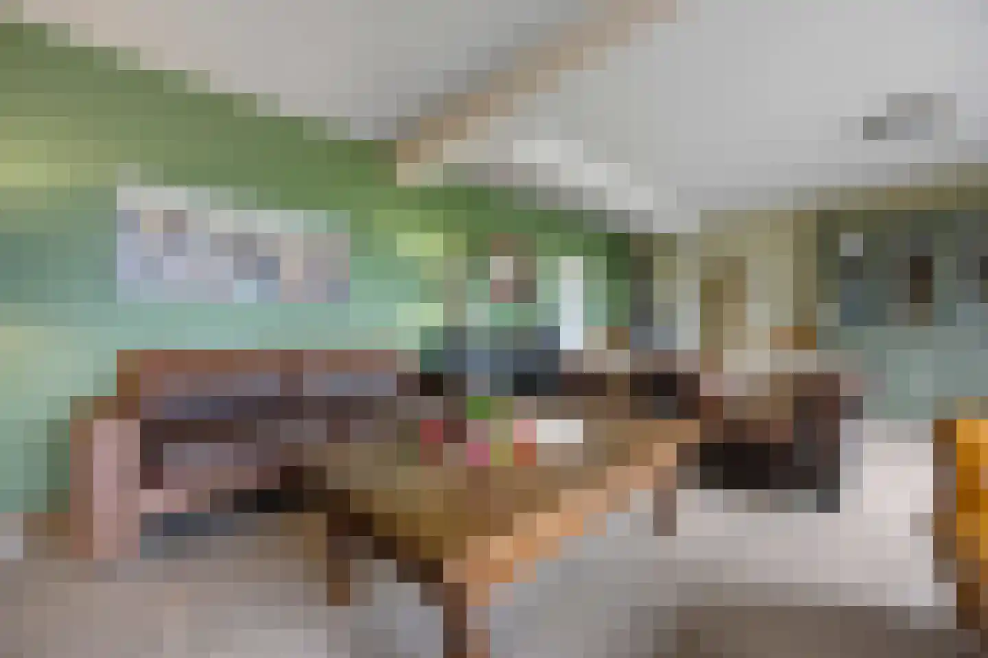 Oude Kleefsepostweg 2 Spijk thumbnail 7