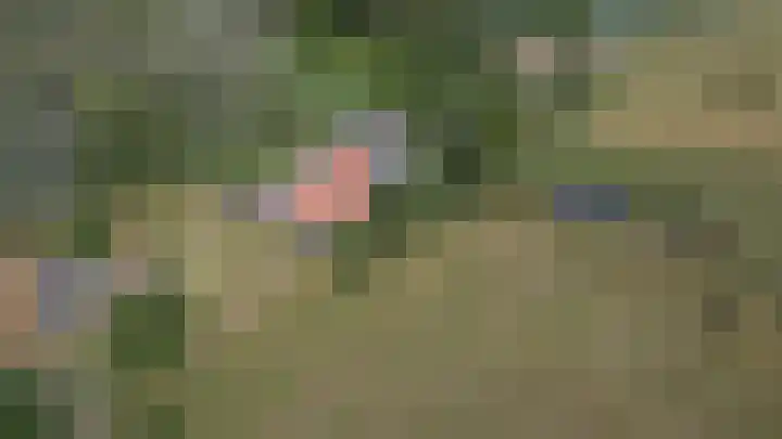 Oude Kleefsepostweg 41 Spijk thumbnail 4