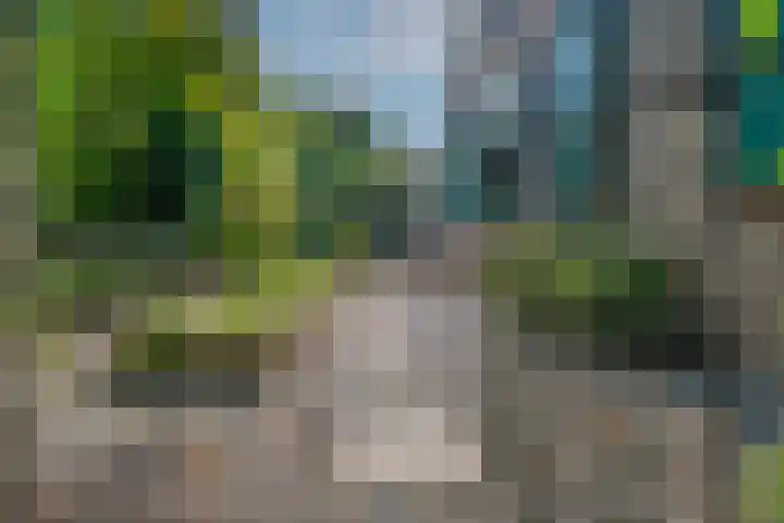 Oude Kleefsepostweg 41 Spijk thumbnail 6