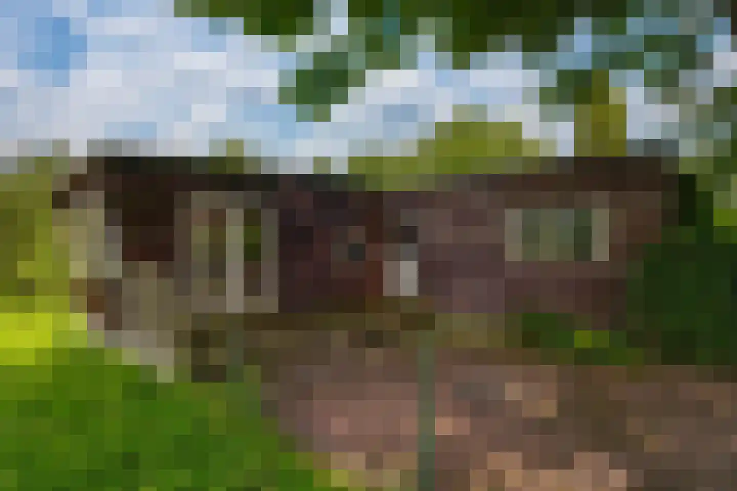 Oude Kleefsepostweg 45 Spijk thumbnail 40