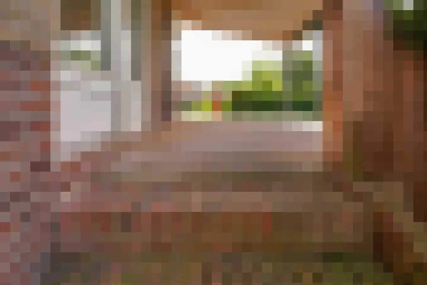 Oude Kleefsepostweg 45 Spijk thumbnail 49