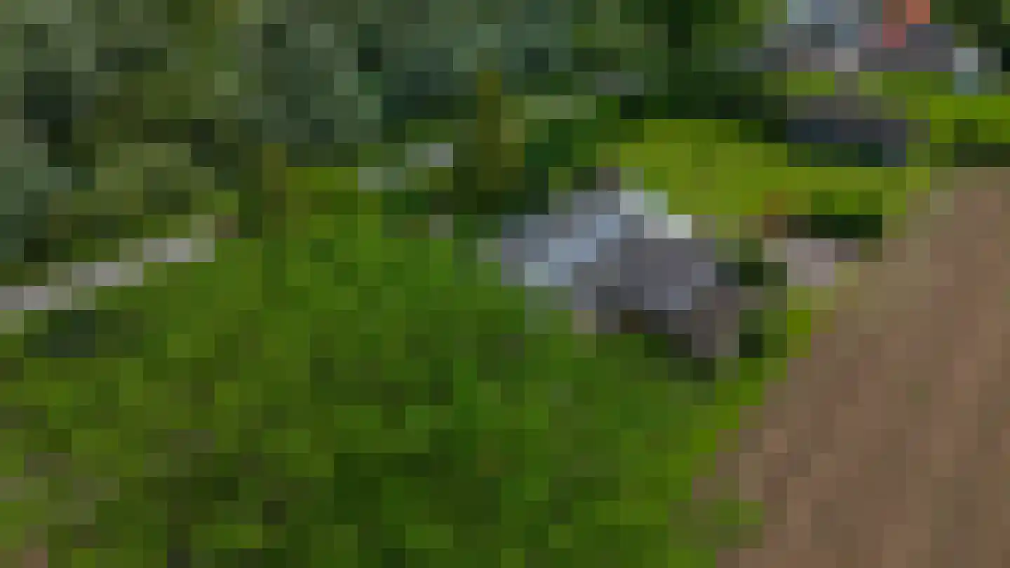 Oude Kleefsepostweg 45 Spijk thumbnail 8