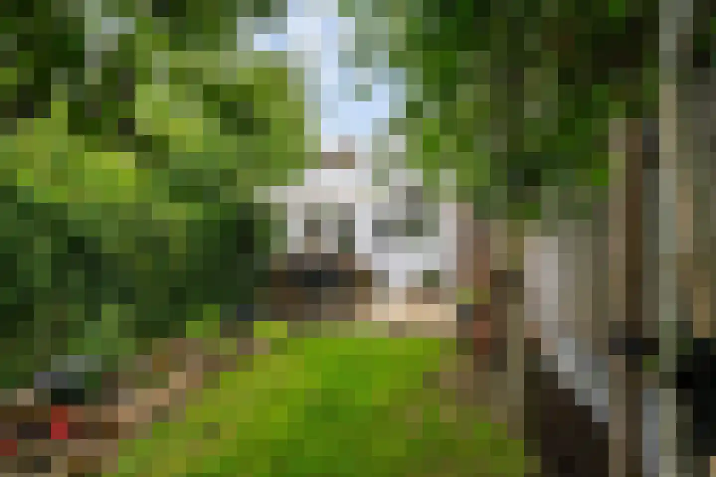 Oude Kleiweg 23 Rotterdam thumbnail 10