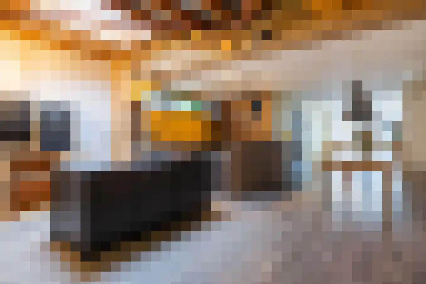 Oude Koemarkt 45 Sneek thumbnail 4