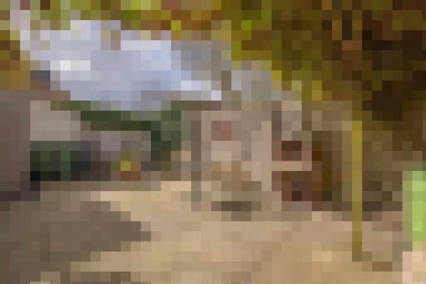 Oude Koudekerkseweg 32 Middelburg thumbnail 23