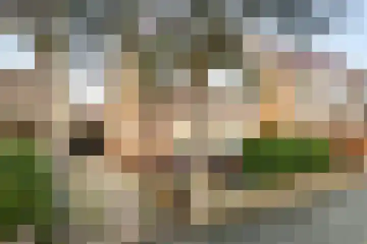 Oude Koudekerkseweg 85 Middelburg thumbnail 7