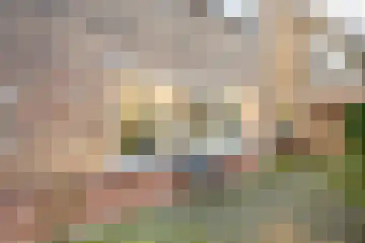 Oude Koudekerkseweg 85 Middelburg thumbnail 8