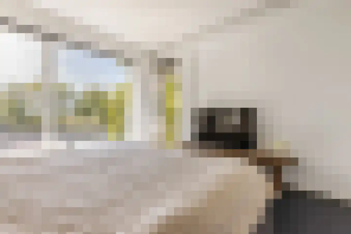 Oude Kraan 24 2A Arnhem thumbnail 29