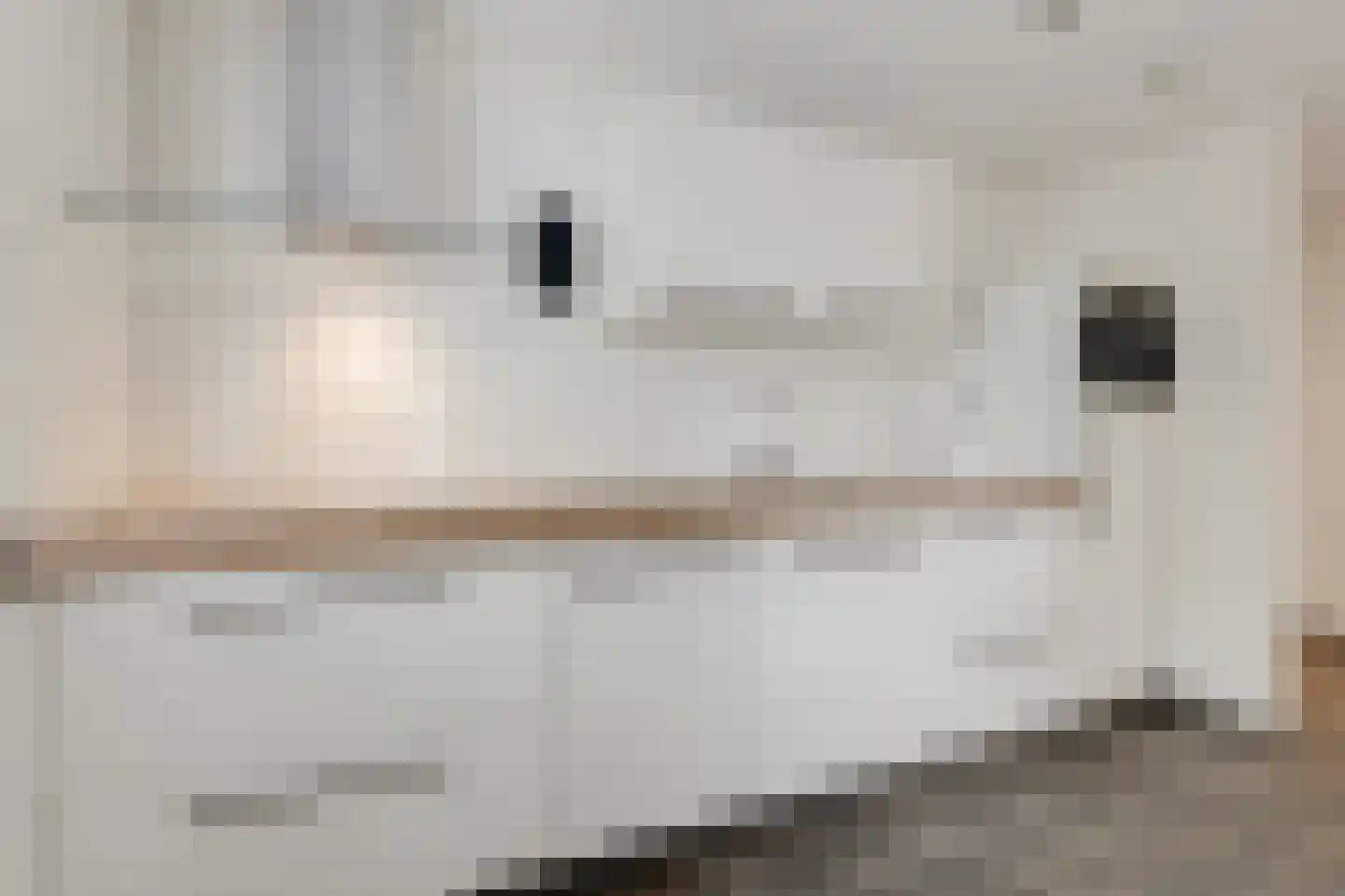 Oude Kraan 30 1 Arnhem thumbnail 20