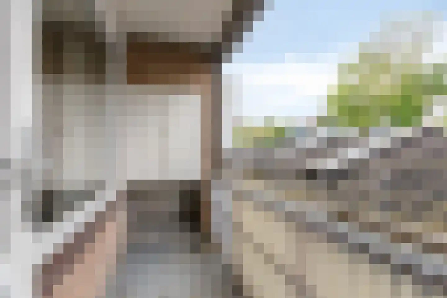 Oude Kraan 30 1 Arnhem thumbnail 23