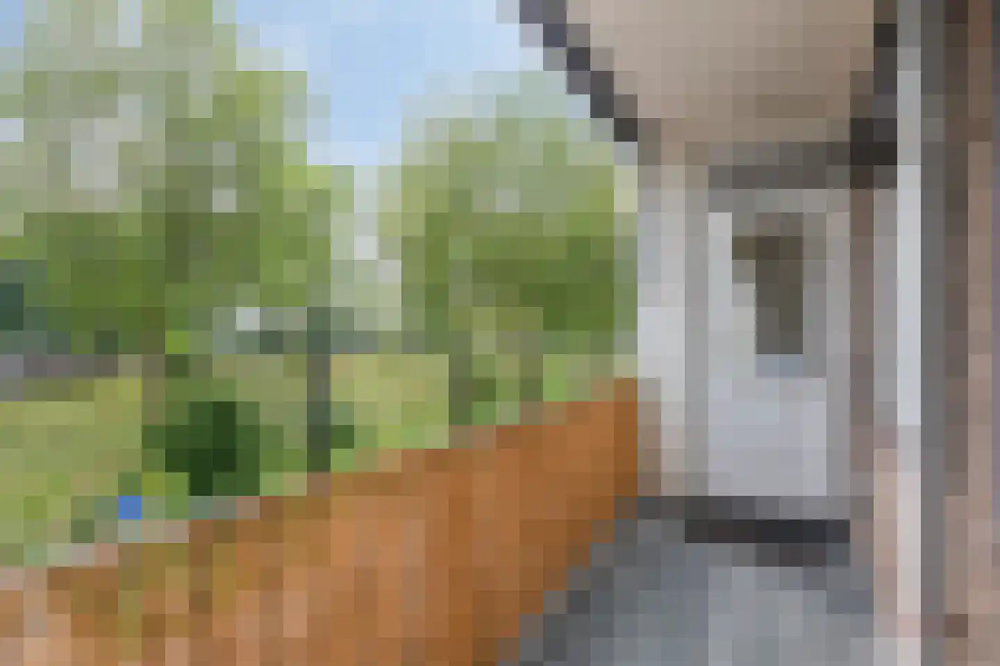 Oude Kraan 30 1 Arnhem thumbnail 32