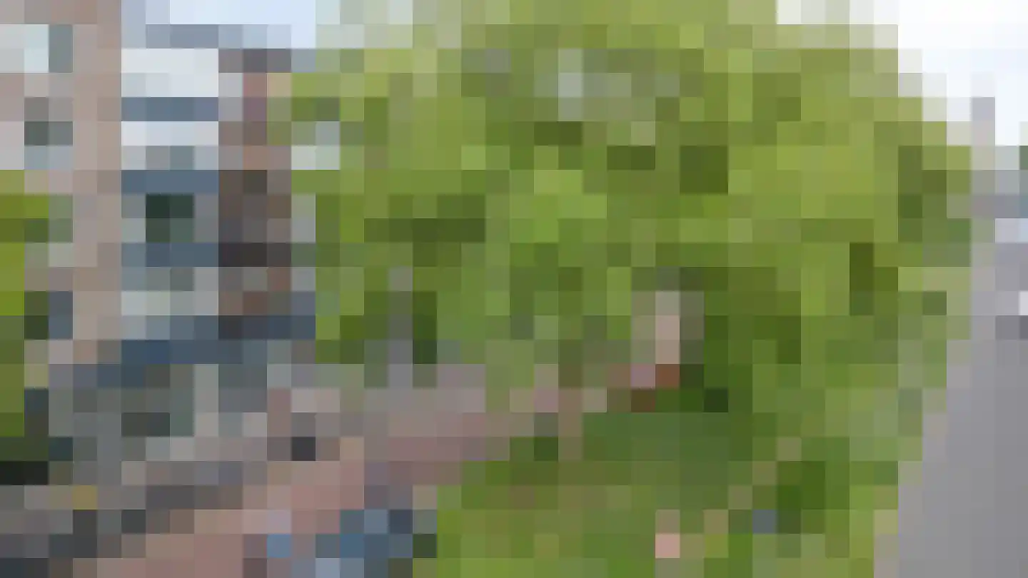 Oude Kraan 30 1 Arnhem thumbnail 43