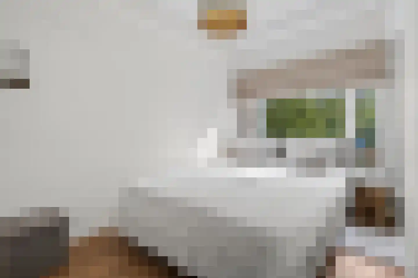 Oude Kraan 56 Arnhem thumbnail 15