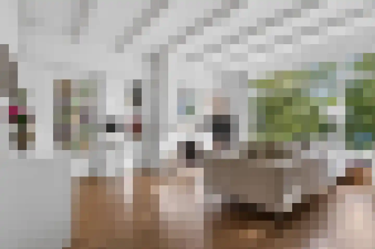 Oude Kraan 56 Arnhem thumbnail 7