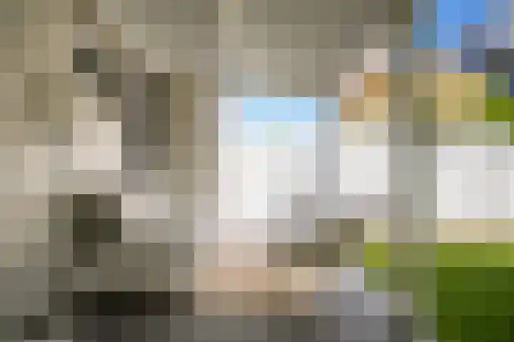 Oude Kruisstraat 14 Rossum thumbnail 20