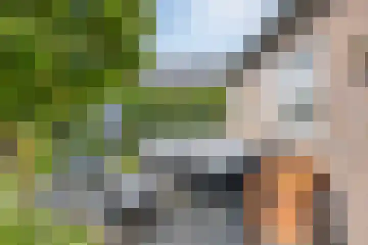 Oude Kruisstraat 30 Rossum thumbnail 10