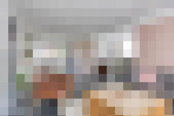 Oude Kruisstraat 30 Rossum thumbnail 17