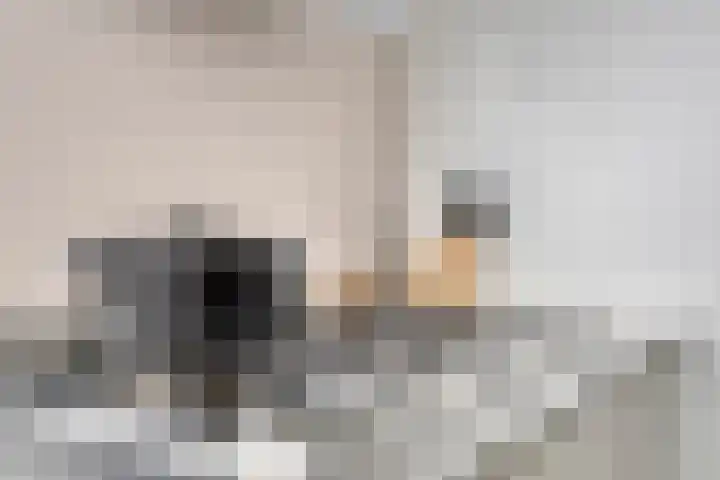 Oude Kruisstraat 30 Rossum thumbnail 23