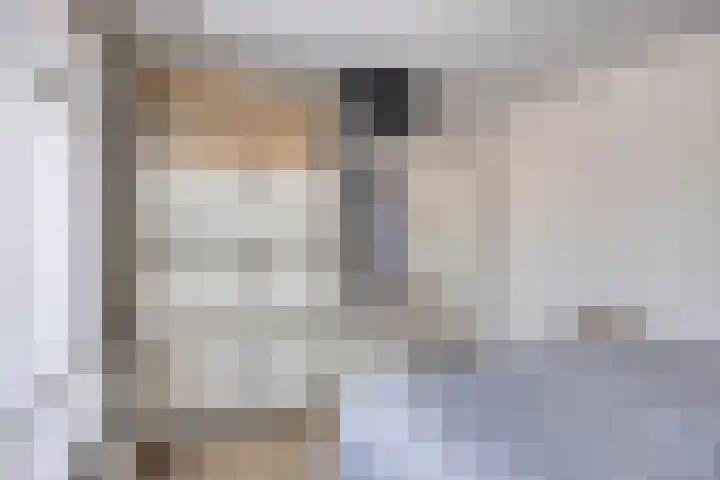 Oude Kruisstraat 30 Rossum thumbnail 31