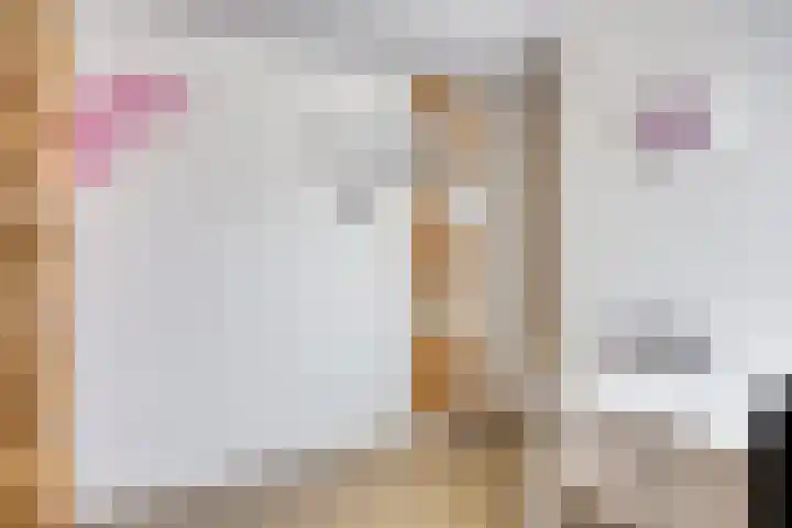 Oude Kruisstraat 30 Rossum thumbnail 33