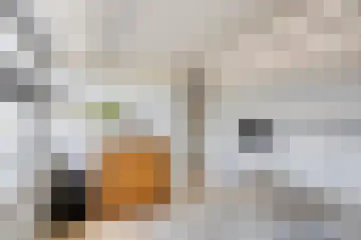 Oude Kruisstraat 30 Rossum thumbnail 38