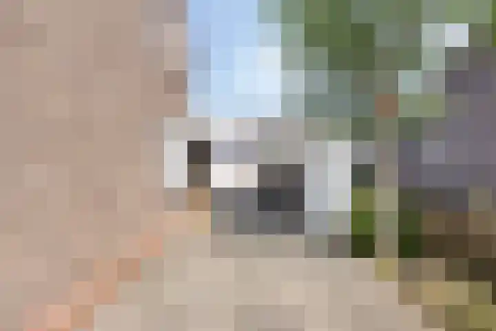 Oude Kruisstraat 30 Rossum thumbnail 6