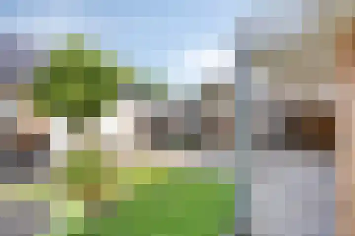 Oude Kruisstraat 30 Rossum thumbnail 8