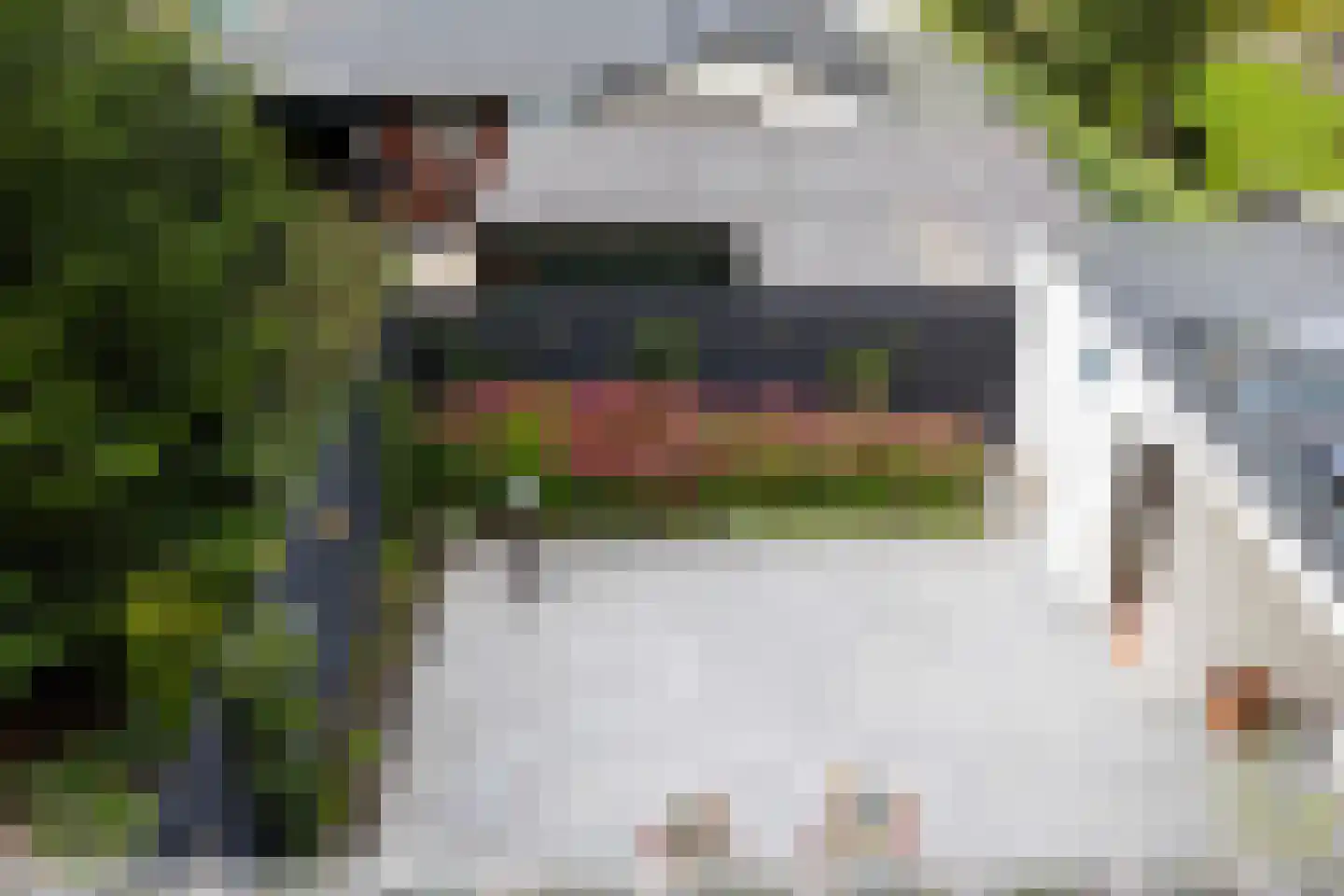 Oude Kruisweg 126 Cruquius thumbnail 33