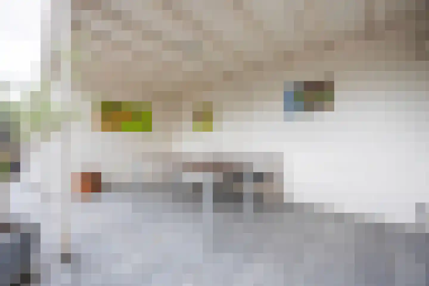 Oude Kruisweg 126 Cruquius thumbnail 39