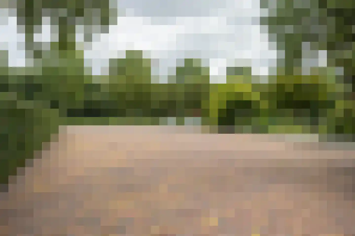 Oude Kruisweg 126 Cruquius thumbnail 7