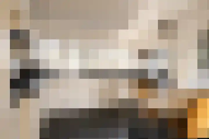 Oude Kruisweg 128 Cruquius thumbnail 10