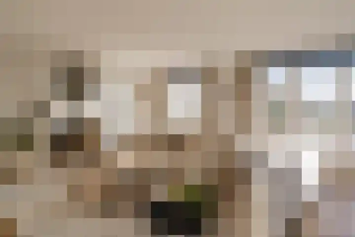 Oude Kruisweg 128 Cruquius thumbnail 13