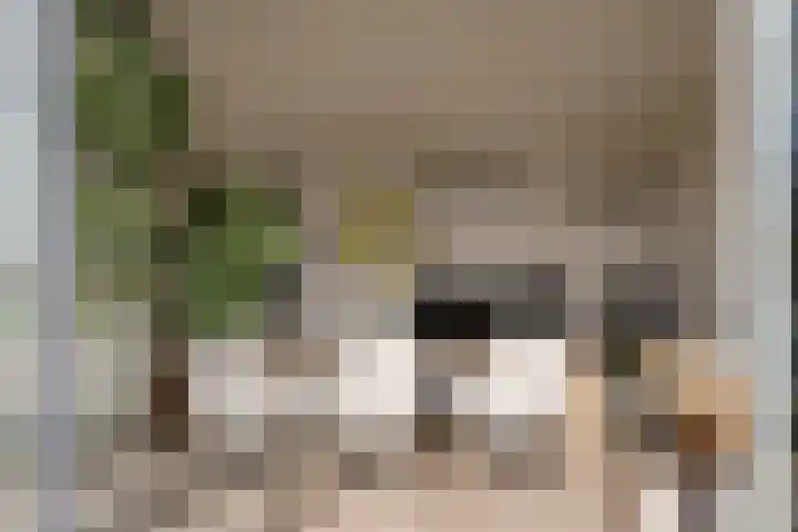 Oude Kruisweg 128 Cruquius thumbnail 19