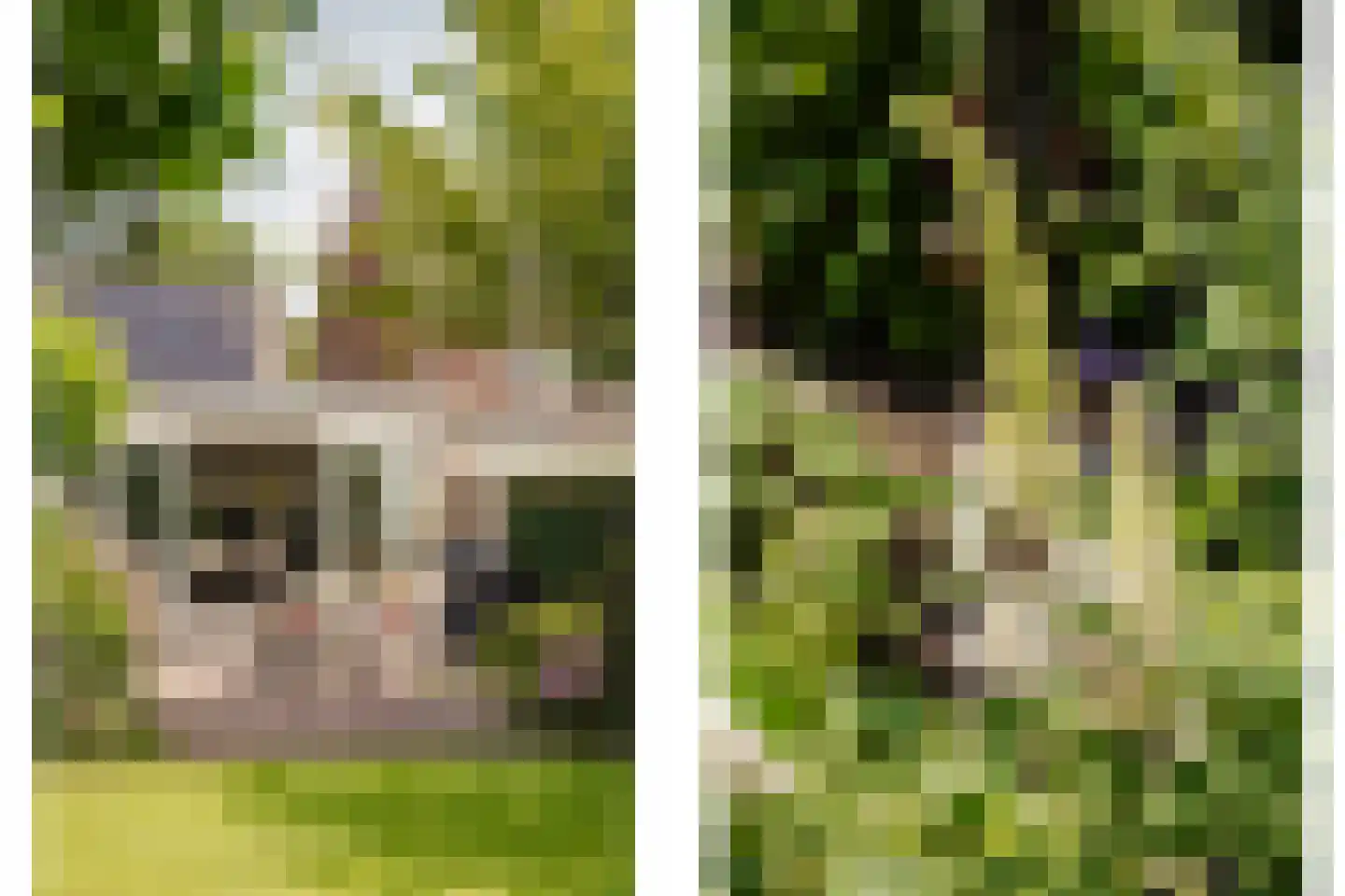 Oude Kruisweg 128 Cruquius thumbnail 27