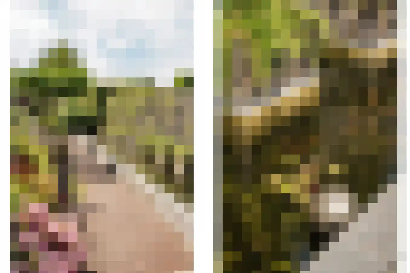 Oude Kruisweg 128 Cruquius thumbnail 31