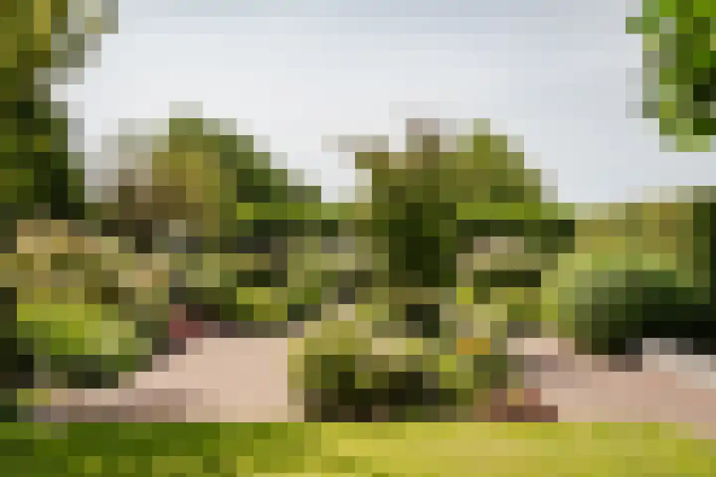 Oude Kruisweg 128 Cruquius thumbnail 32