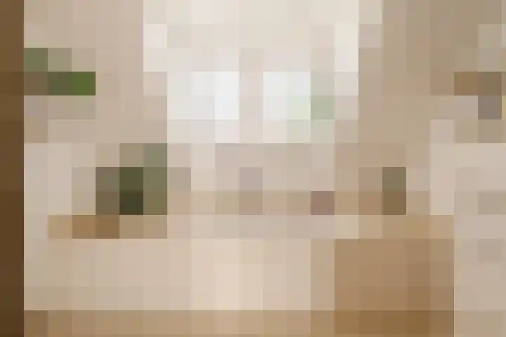Oude Kruisweg 128 Cruquius thumbnail 36