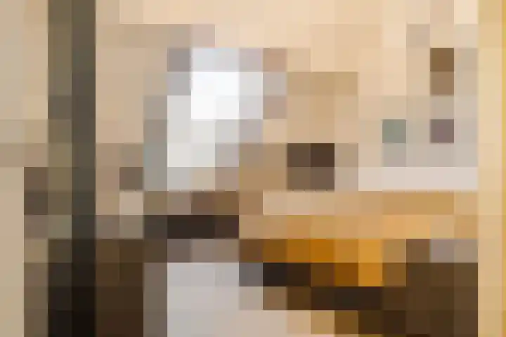 Oude Kruisweg 128 Cruquius thumbnail 49