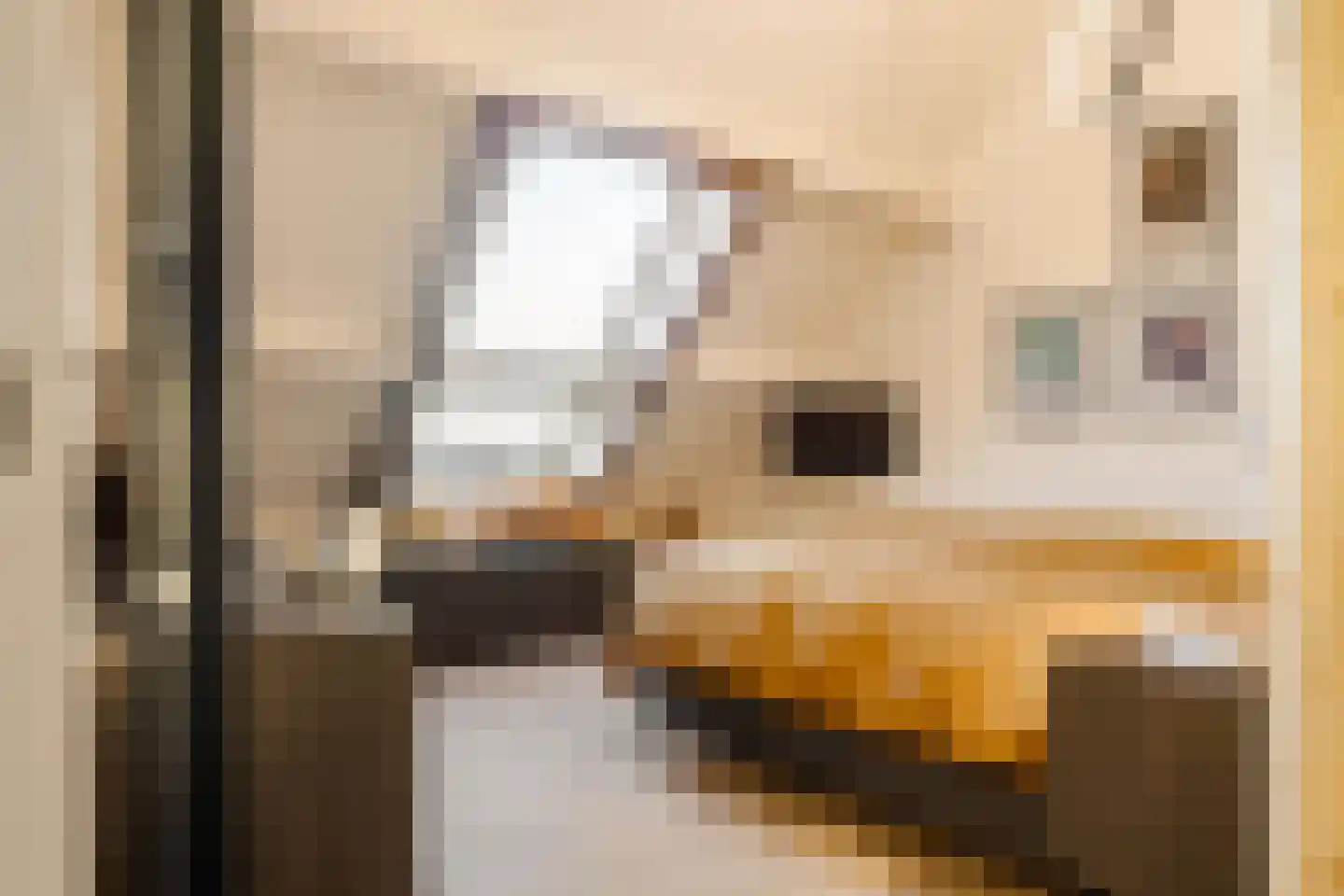 Oude Kruisweg 128 Cruquius thumbnail 57