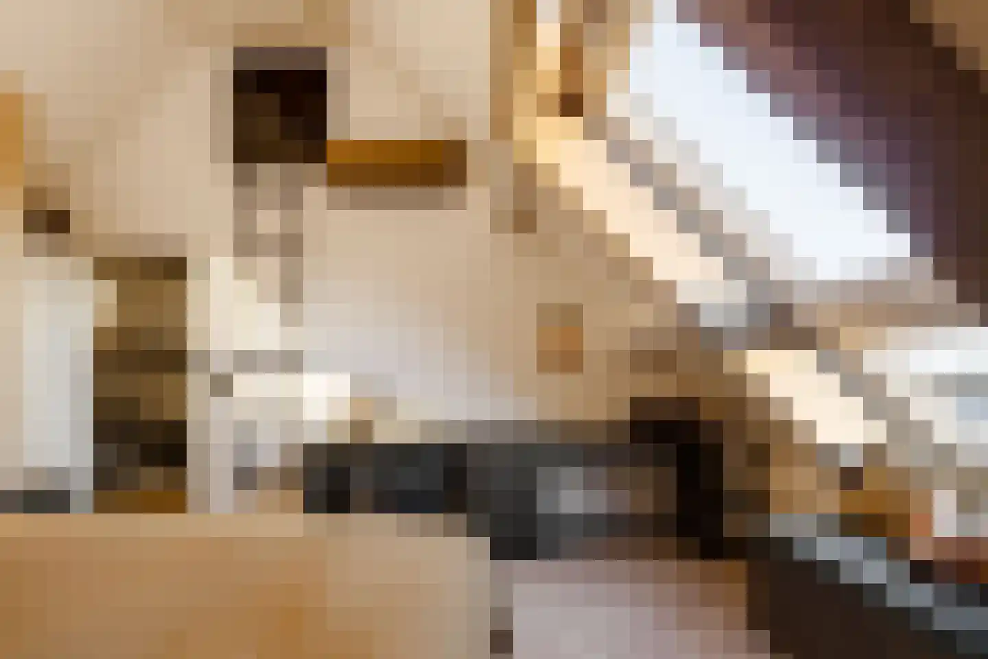 Oude Kruisweg 128 Cruquius thumbnail 60
