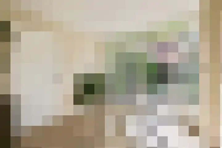 Oude Kruisweg 266 Cruquius thumbnail 10