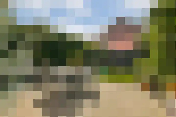 Oude Kruisweg 266 Cruquius thumbnail 14