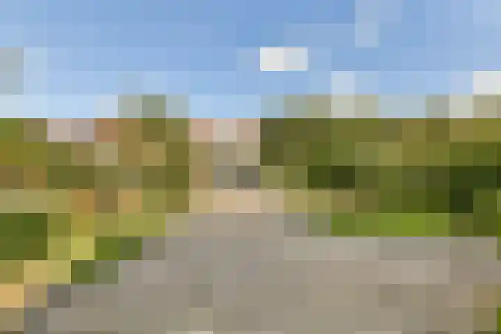 Oude Kruisweg 266 Cruquius thumbnail 16