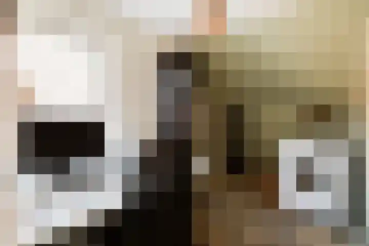 Oude Kruisweg 266 Cruquius thumbnail 27