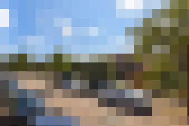 Oude Kruisweg 266 Cruquius thumbnail 34