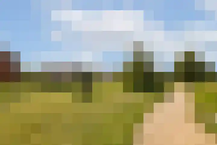 Oude Kruisweg 266 Cruquius thumbnail 35