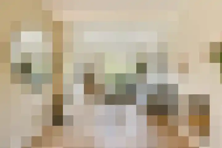 Oude Kruisweg 266 Cruquius thumbnail 6